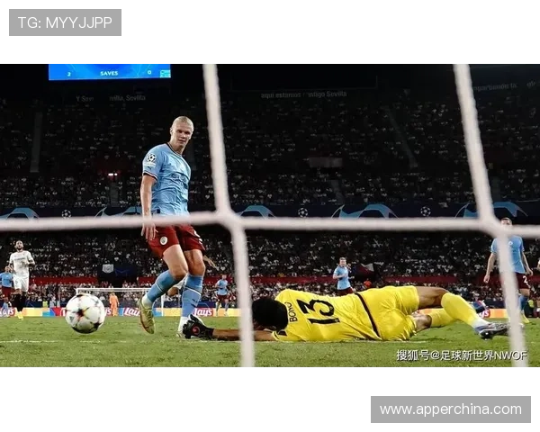 费迪南德批裁判判罚荒唐笑话